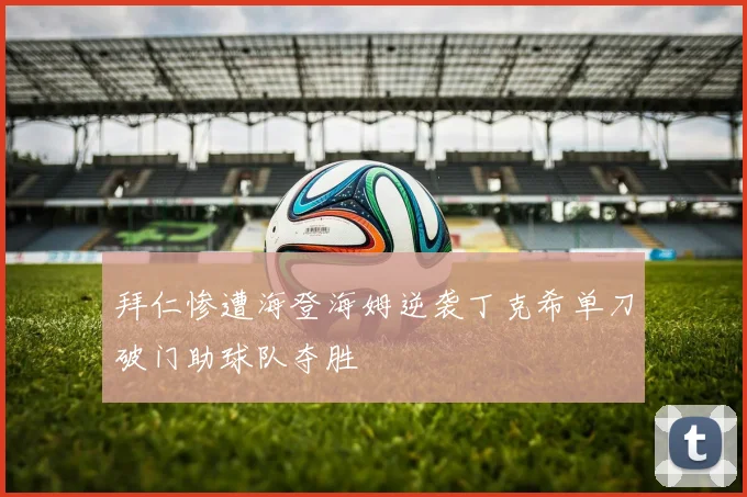 拜仁惨遭海登海姆逆袭丁克希单刀破门助球队夺胜